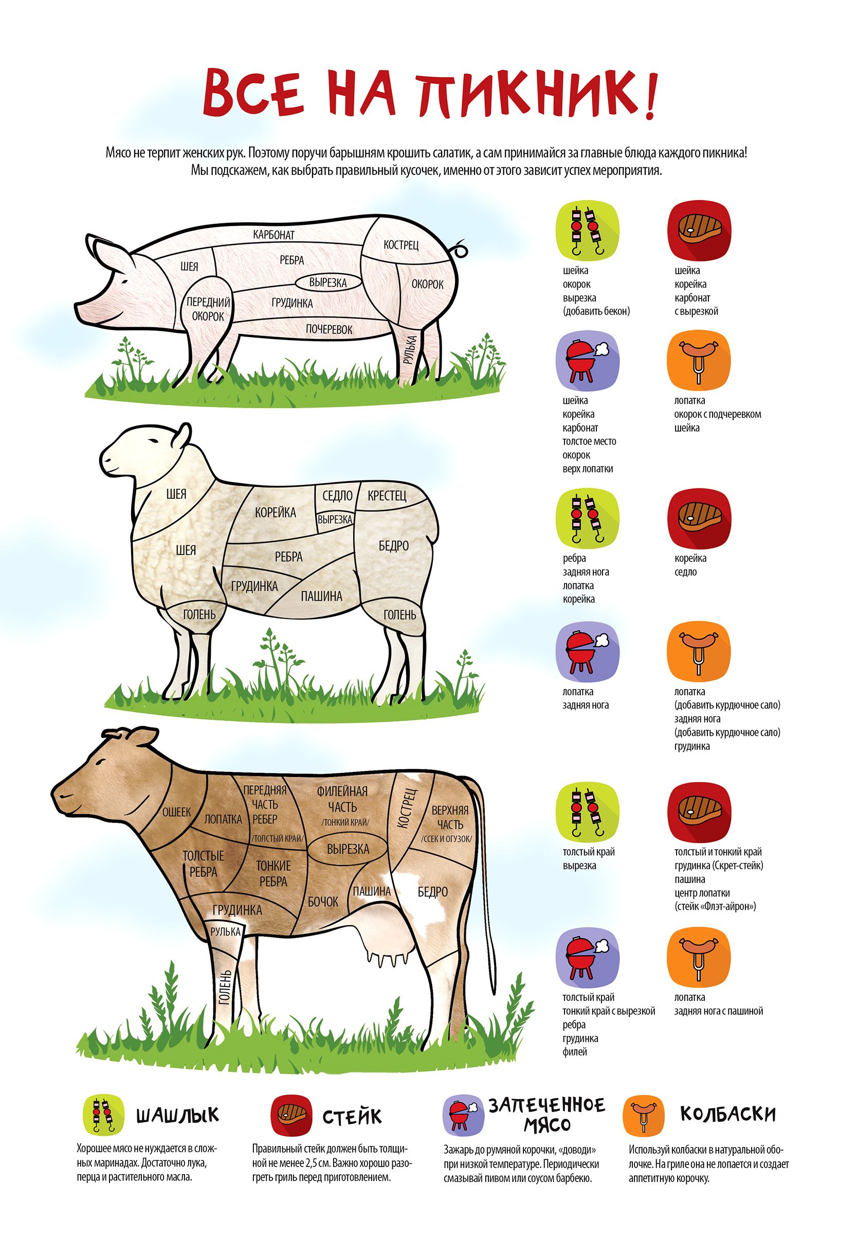 Говядина для шашлыка какая часть. Мясо для шашлыка инфографика. Как выбрать мясо. Как правильно выбрать мясо. Как выбирать мясо инфографика.
