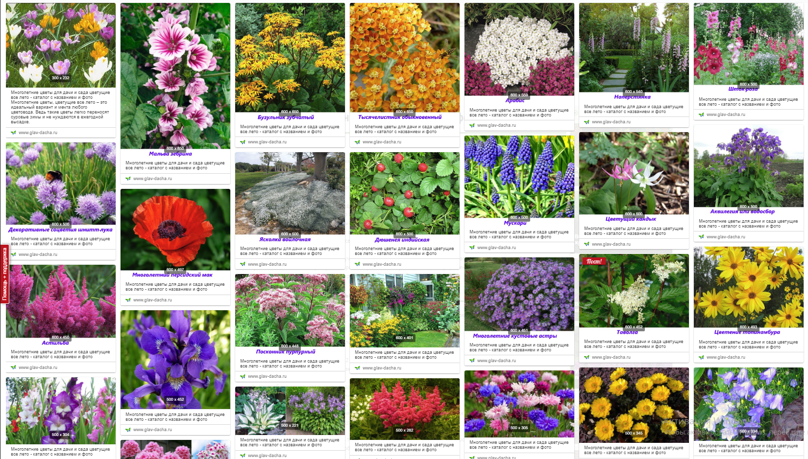 Продажа садовых цветов - по фото каталогу, 2021 год