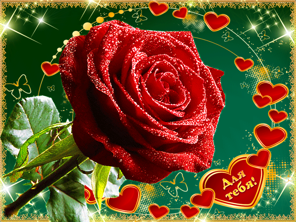 Живая музыкальная открытка. Красивые открытки. Розы для тебя. Открытка для тебя. Открытки с розами красивые.