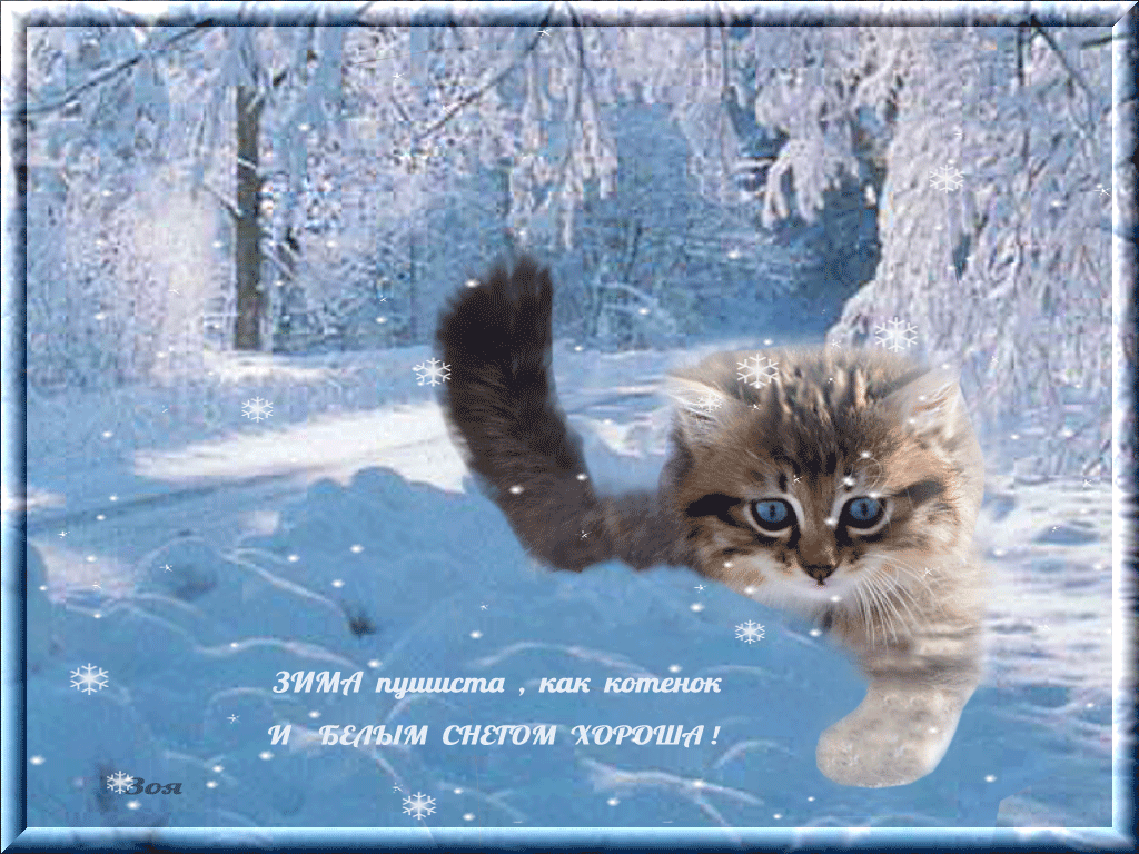 С началом зимы