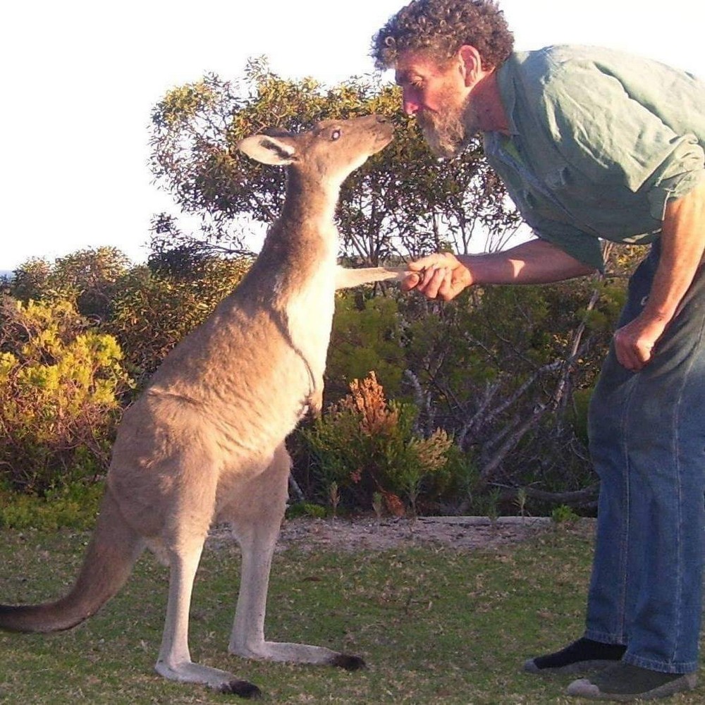 Огромный проявлять. Животных Австралии. Жизнь людей и животных в Австралии. Встреча с дикими животными. Австралийский Буш.