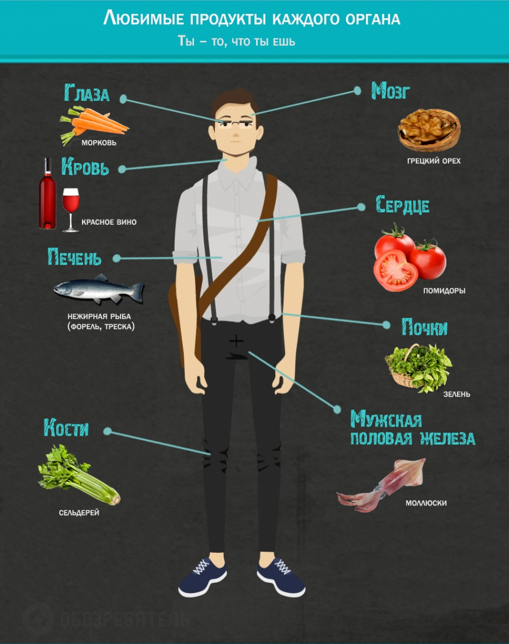 Что нужно есть для организма. Инфографика еда. Полезные продукты. Инфографика полезное питание. Продукты полезные для органов.