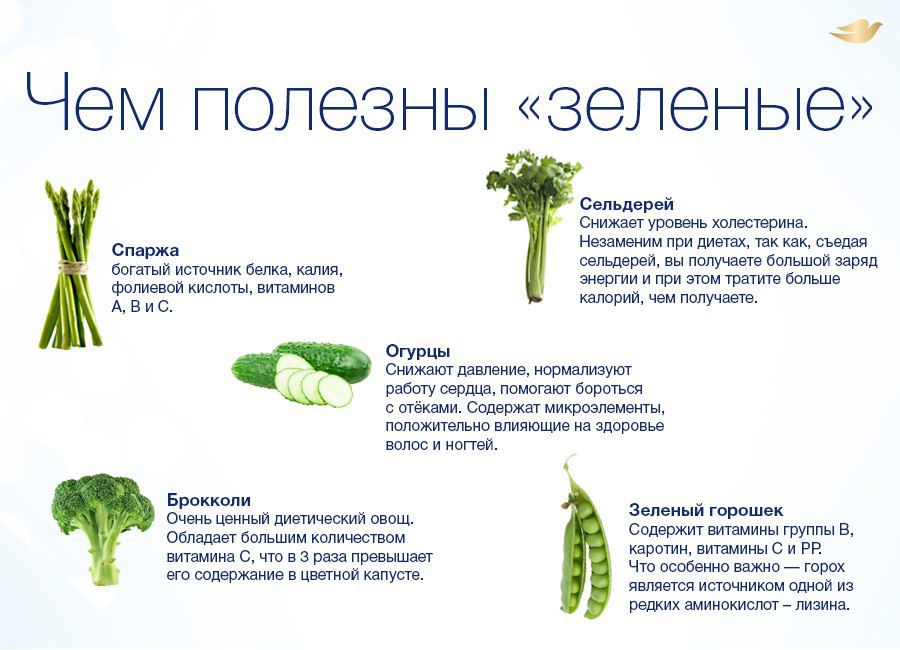 Сельдерей углеводы. Полезная зелень. Зеленые овощи. Полезные зеленые овощи. Зелёные овощи список.