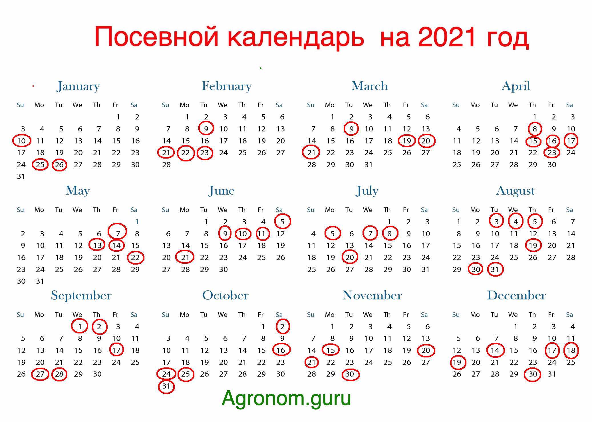 Календарь посева петунии в 2024 году. Посевной календарь. Календарь посева петунии. Лунный календарь для посадки петунии. Благоприятные дни для посадки петунии.