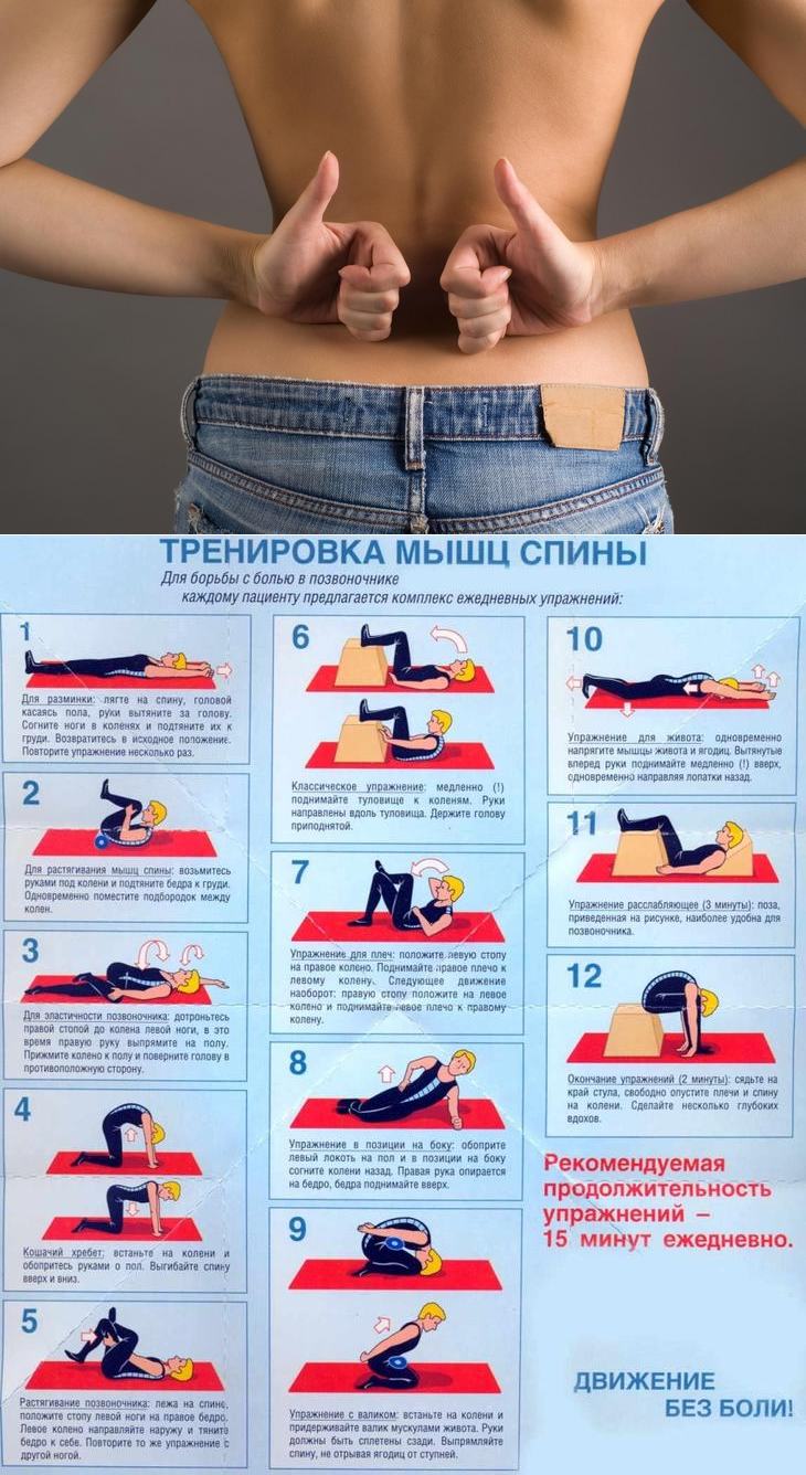 Эффективные упражнения для растяжки спины и позвоночника | Физические ...