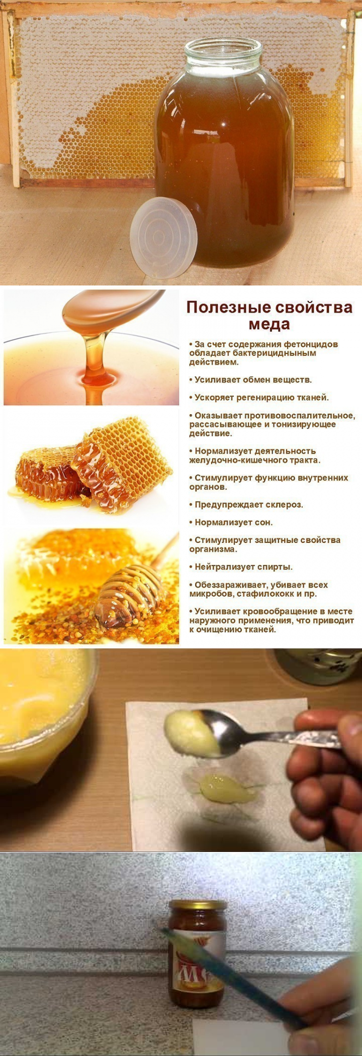 Какие меда от каких болезней. Сорта меда. Полезные сорта меда. Полезные свойства меда. Что полезного в меде.