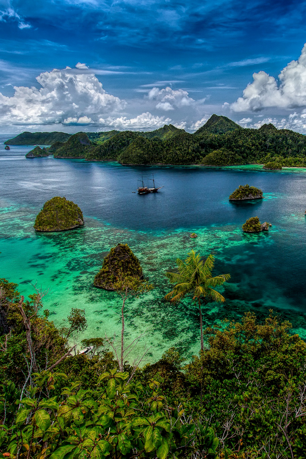 Экзотическая природа. Раджа Ампат Индонезия. Остров Суматра. Бали (остров в малайском архипелаге). Природа острова Суматра.