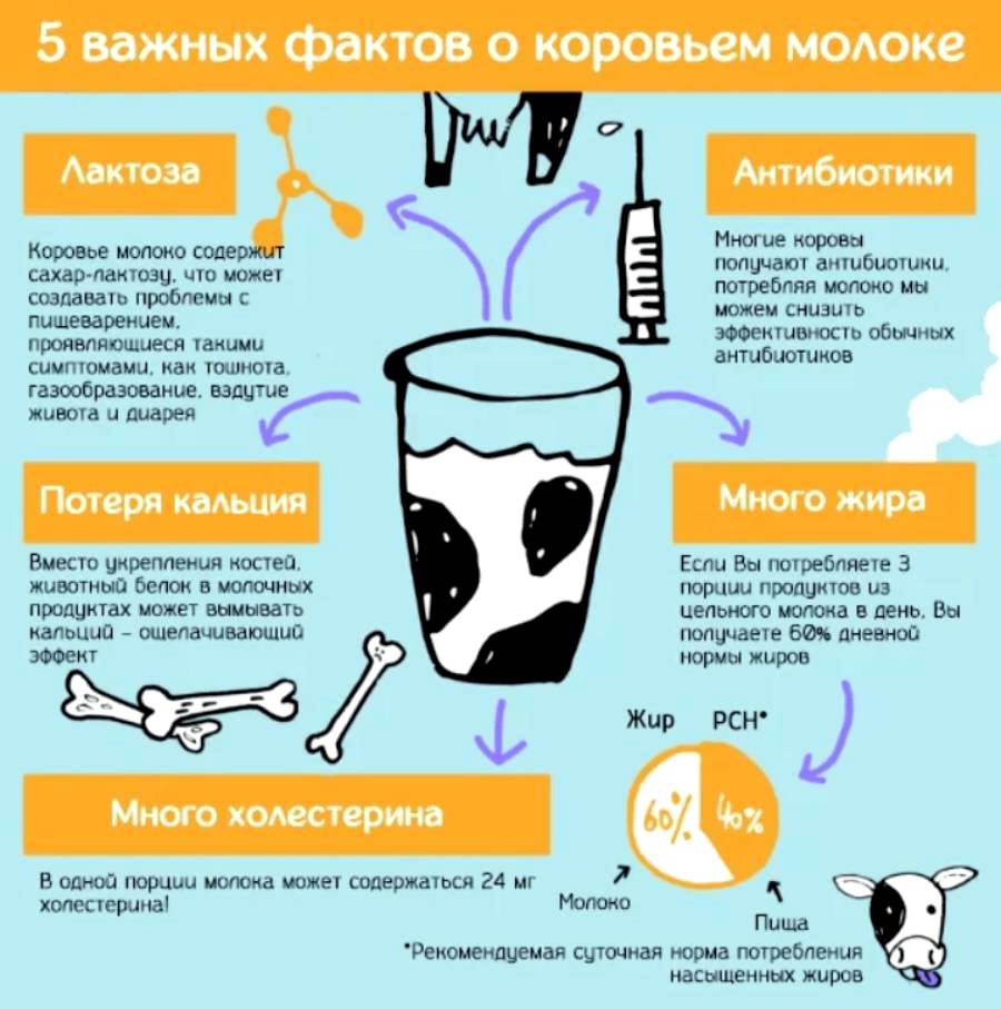 Можно пить антибиотики после молока