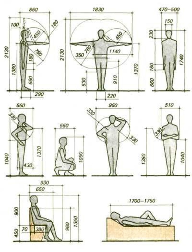 Высота сидящего человека эргономика