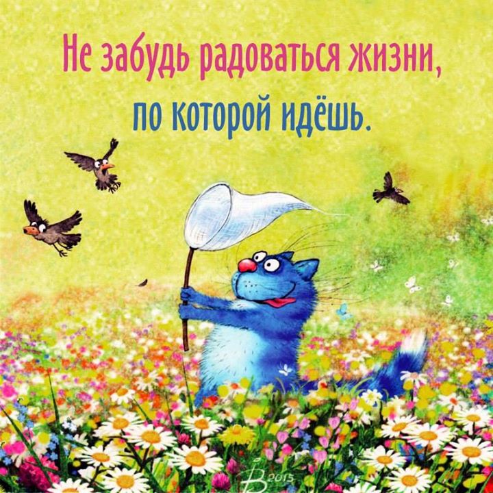 Жизнь прекрасна картинки прикольные смешные