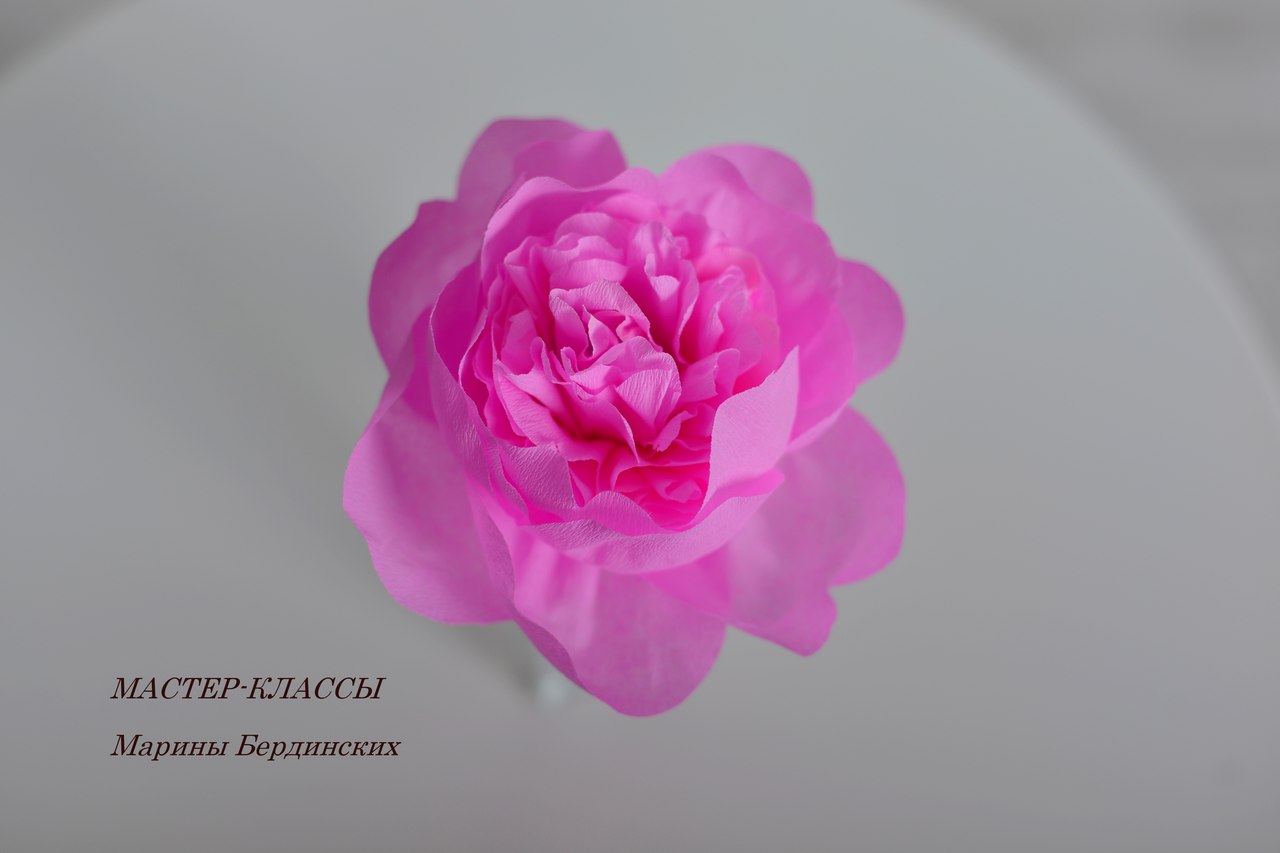 Пионы из бумаги