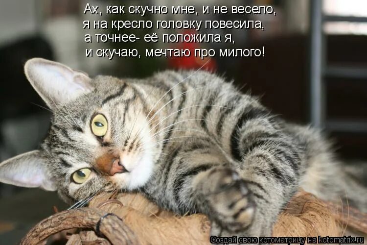 Картинки про скуку