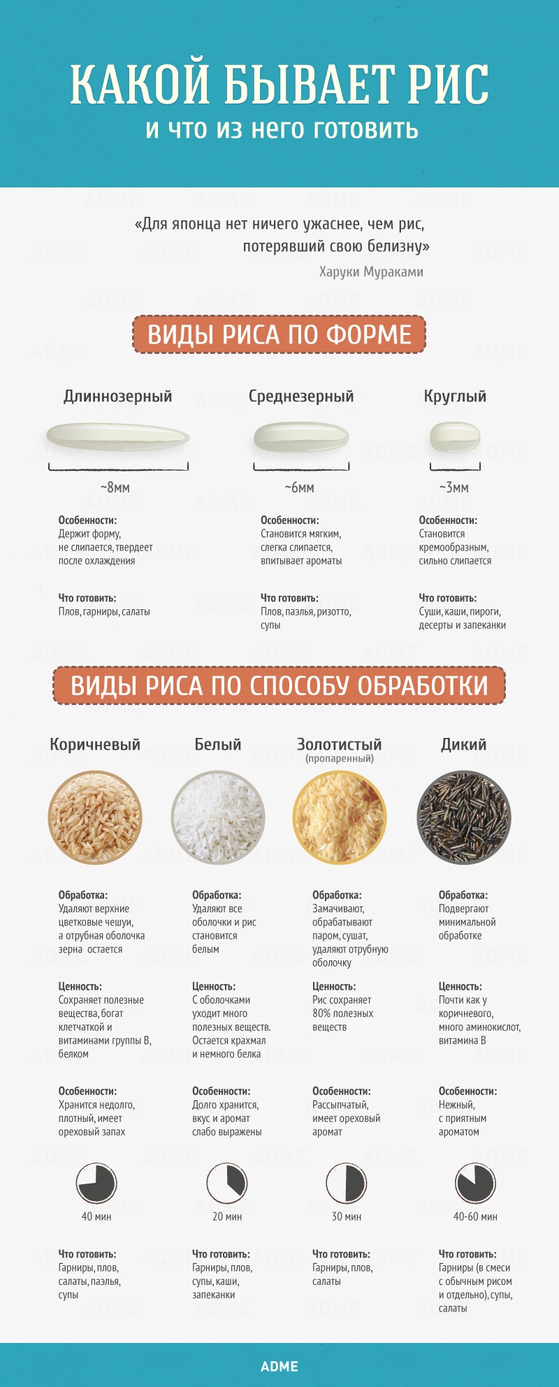 Какой бывает рис и что из него готовить | ЕДА: КРУПЫ, КАШИ (РИС) | Постила