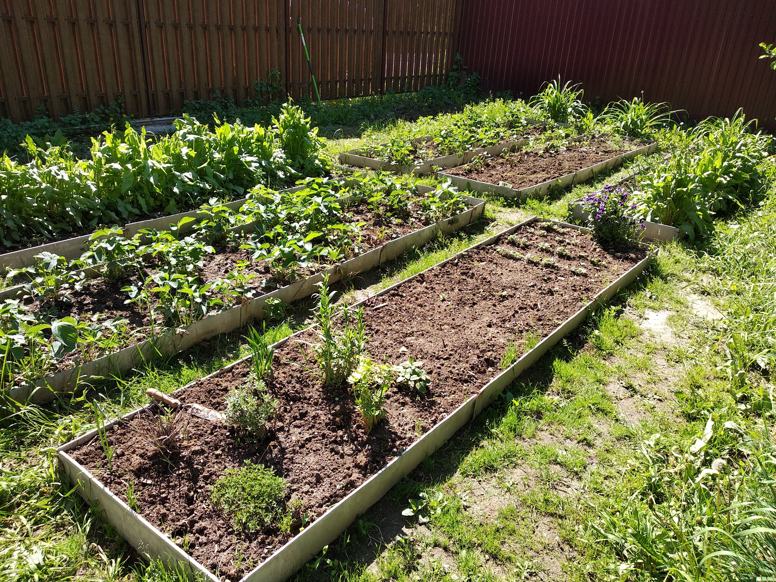 Половший грядку какое. Высокие грядки. Посадка огорода. Грядки даяс. Удобный проход между грядками.