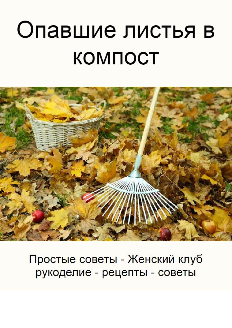 Листья деревьев можно в компост. Опавшие листья компост. опавшие листья. можно ли опавшие прошлогодние листья класть в компост.