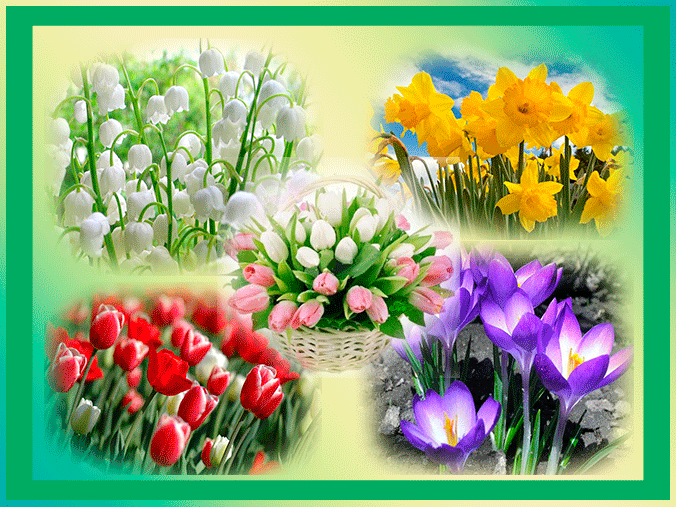 Гифки с первым днем весны красивые мерцающие. Весенние открытки. Весенние цветы открытки. Букеты первых весенних цветов.