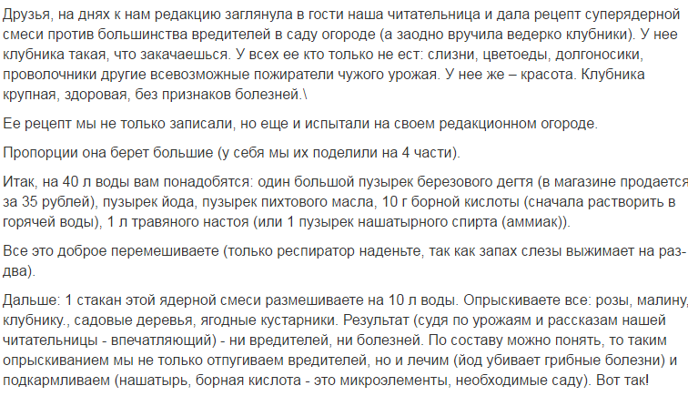 Адская смесь против болезней вредителей. Смеси против вредителей и болезней. Адская смесь против болезней и вредителей. Атцкая смесь для огорода. Адские смеси для опрыскивания.