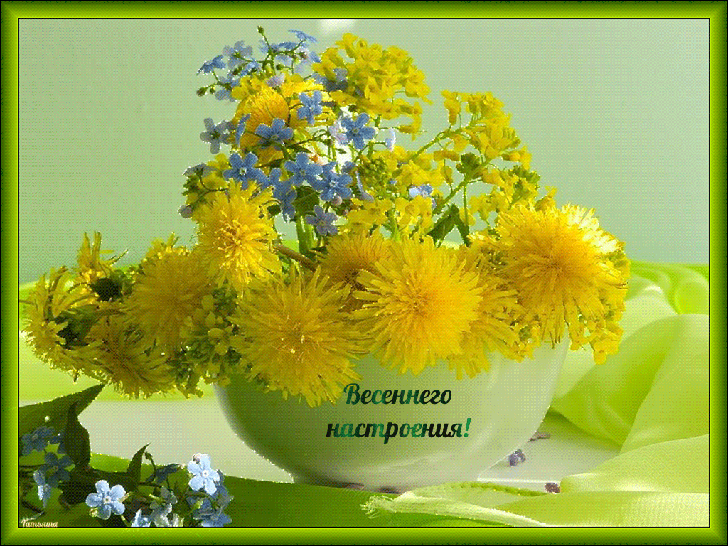 Долгий день теплый день. Солнечный цветок. Букет одуванчиков. Яркие солнечные цветы. Солнечный букет одуванчиков.