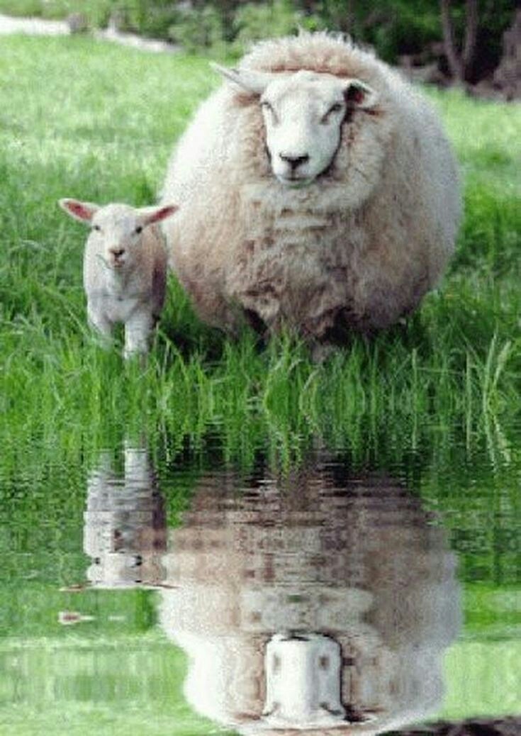 Ewe.Ac/Rdke