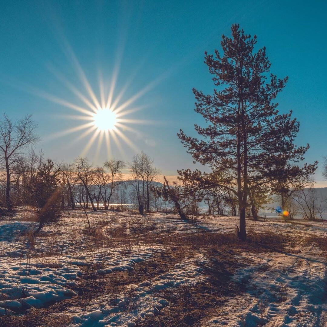 Солнце в зимний день