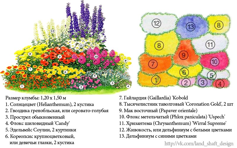 На рисунке изображен план клумбы с цветами сколько метров изгороди потребуется для этого