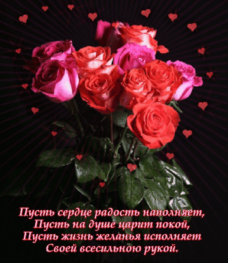 Цветы прекрасному человеку с красивой душой. Розы с пожеланиями счастья и здоровья. Живые открытки. Букеты роз с пожеланиями любви и счастья. Пусть вам дарят цветы