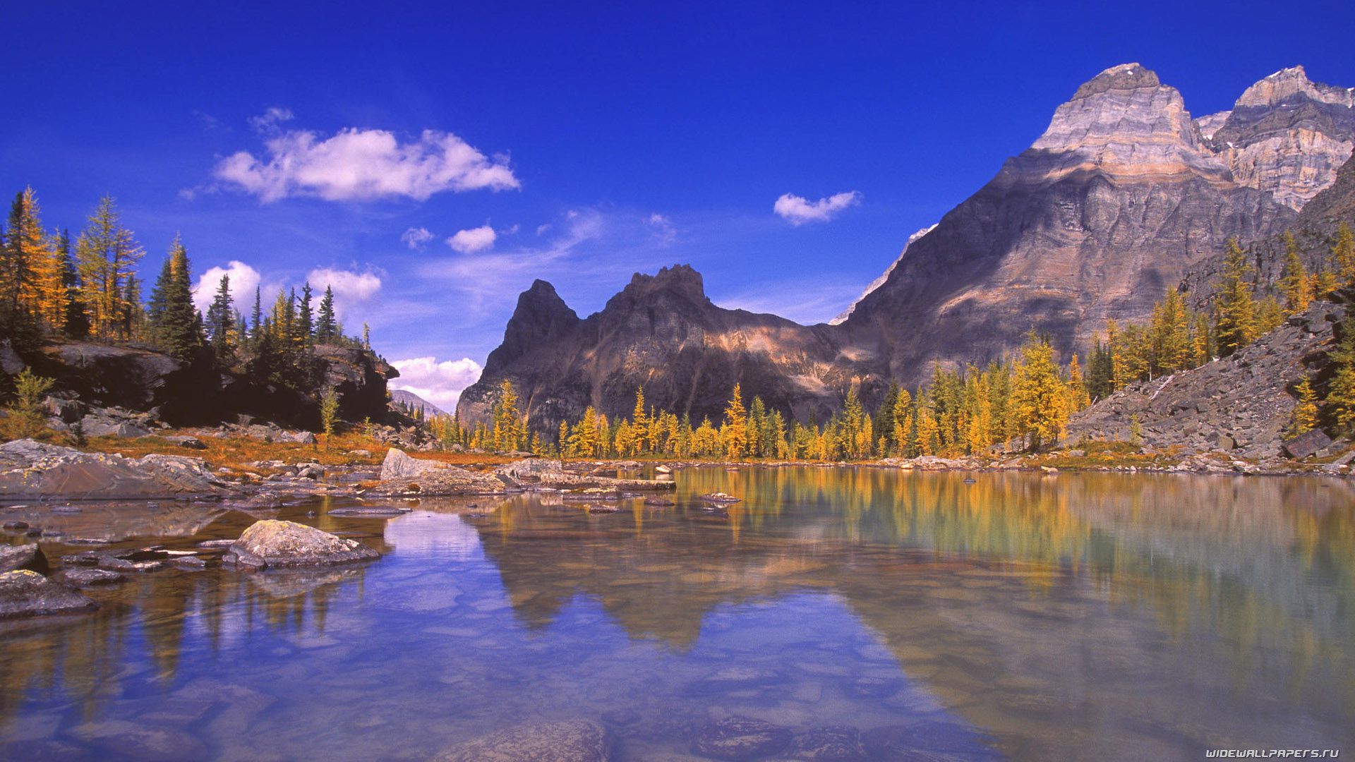 Британская Колумбия British Columbia Канада