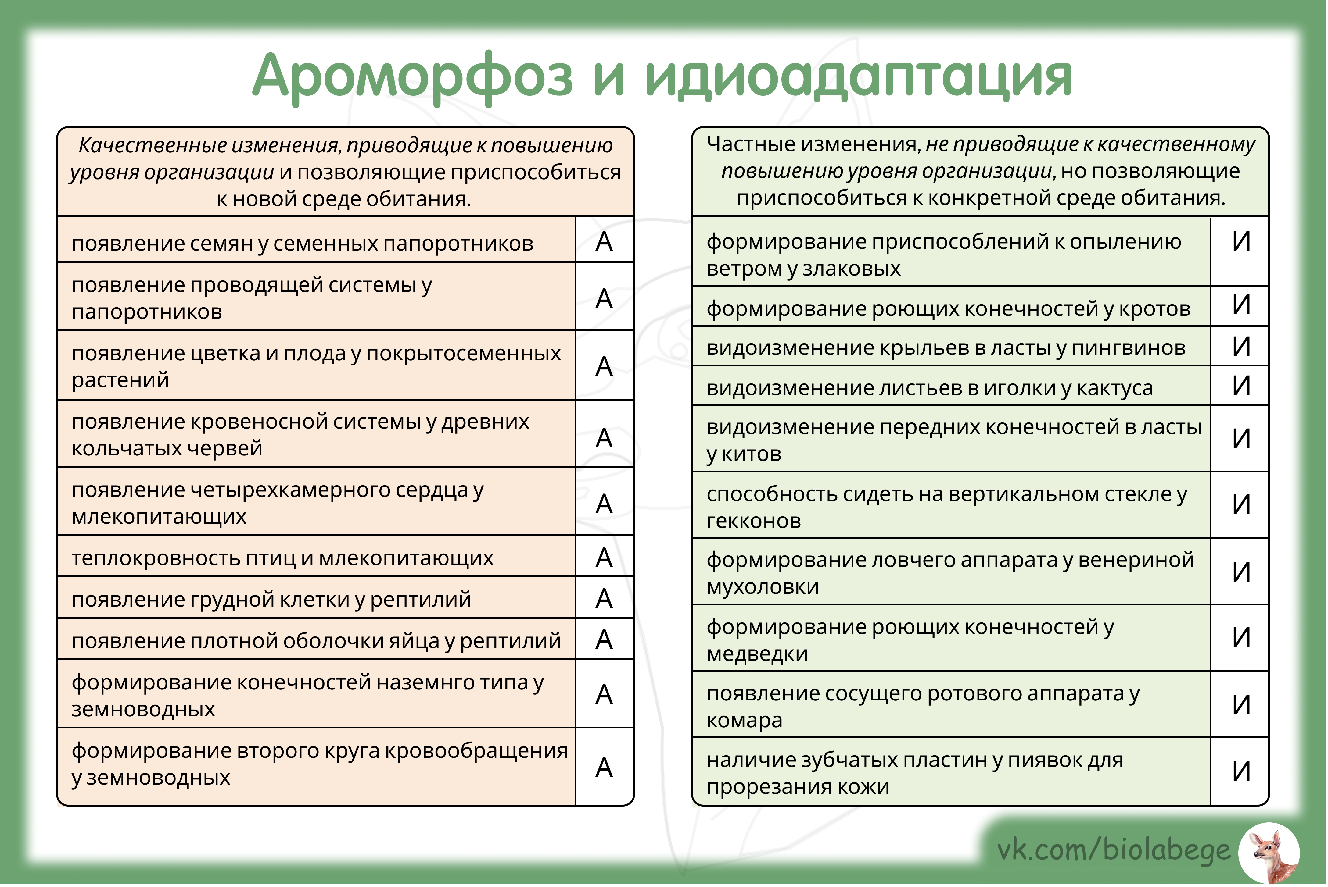 Установи соответствие между ароморфозом и эрой