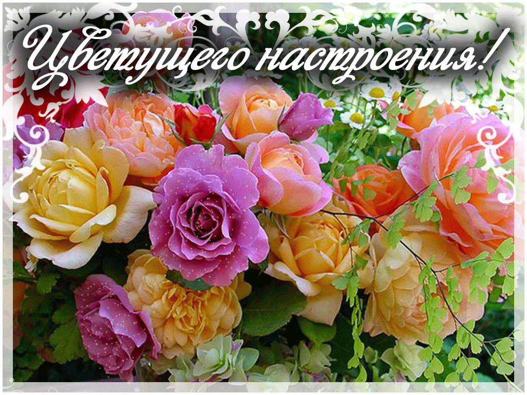 Цветы для настроения