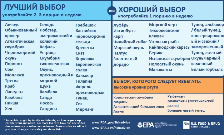 Когда лучше пить омегу 3 утром. С чем нельзя принимать Омега 3. С чем нельзя принимать омегу 3. Когда лучше принимать омегу. С чем пить омегу.