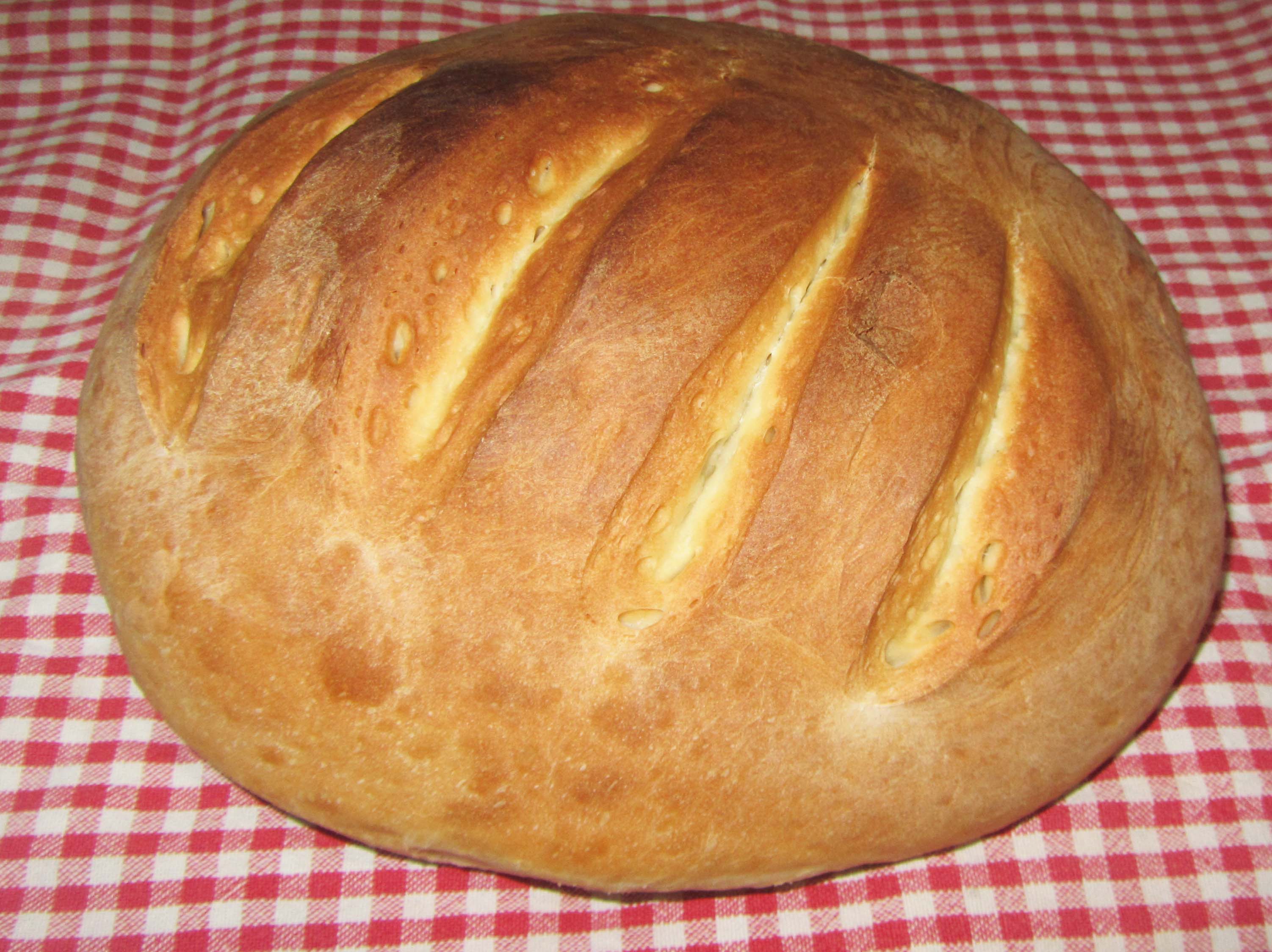 Хлеб дрожжевой в домашних условиях в духовке. Хлеб в духовке без дрожжей. Круглый хлеб в духовке. Хлеб дрожжевой в духовке. Хлеб домашний дрожжевой в духовке.