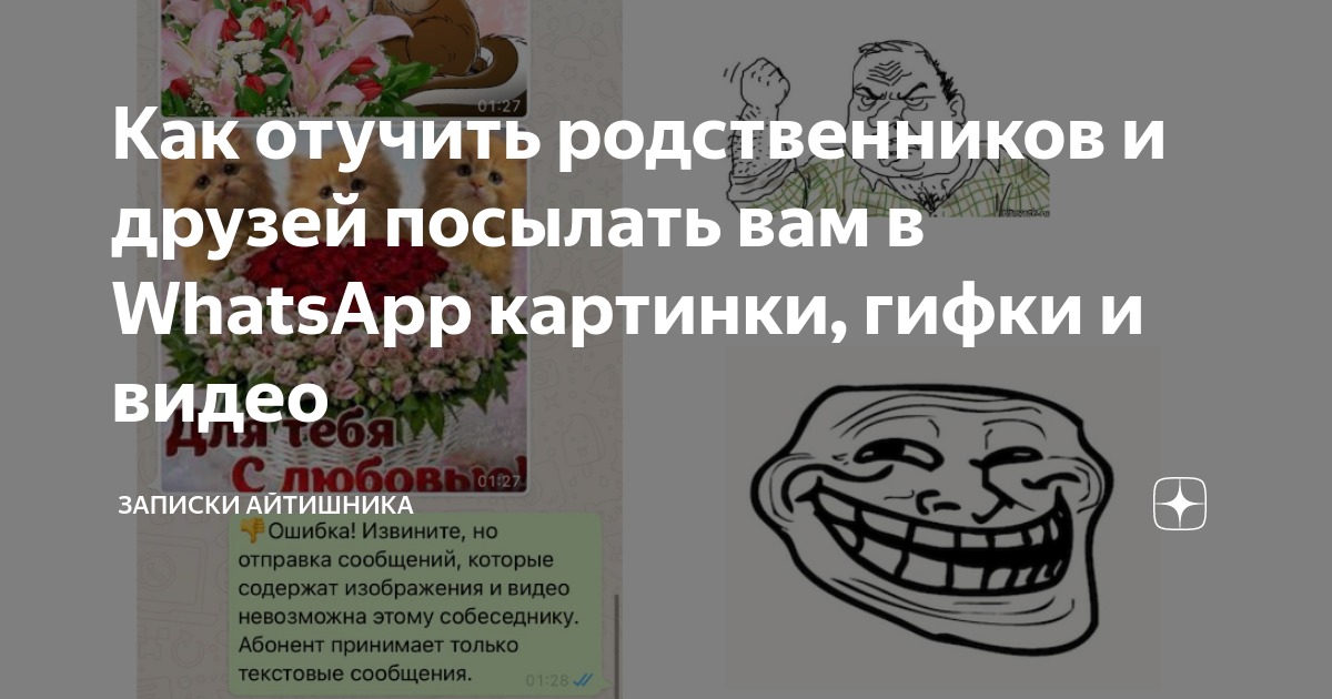 WhatsApp + Открытка