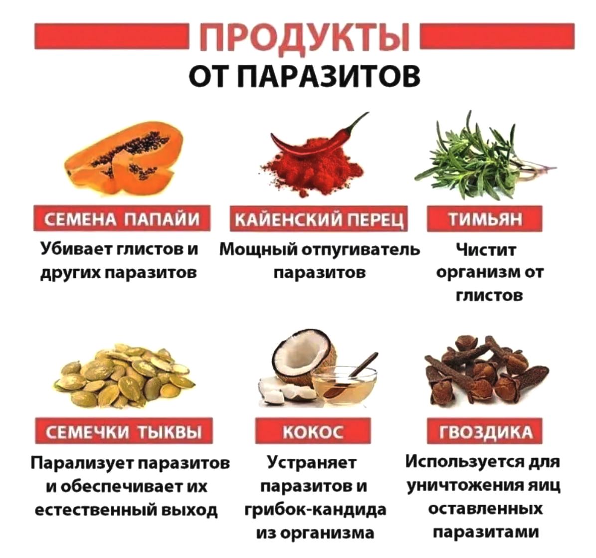 какие продукты способствуют увеличению количества спермы фото 62