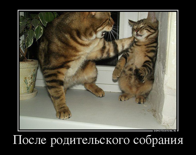 После родительского собрания картинки