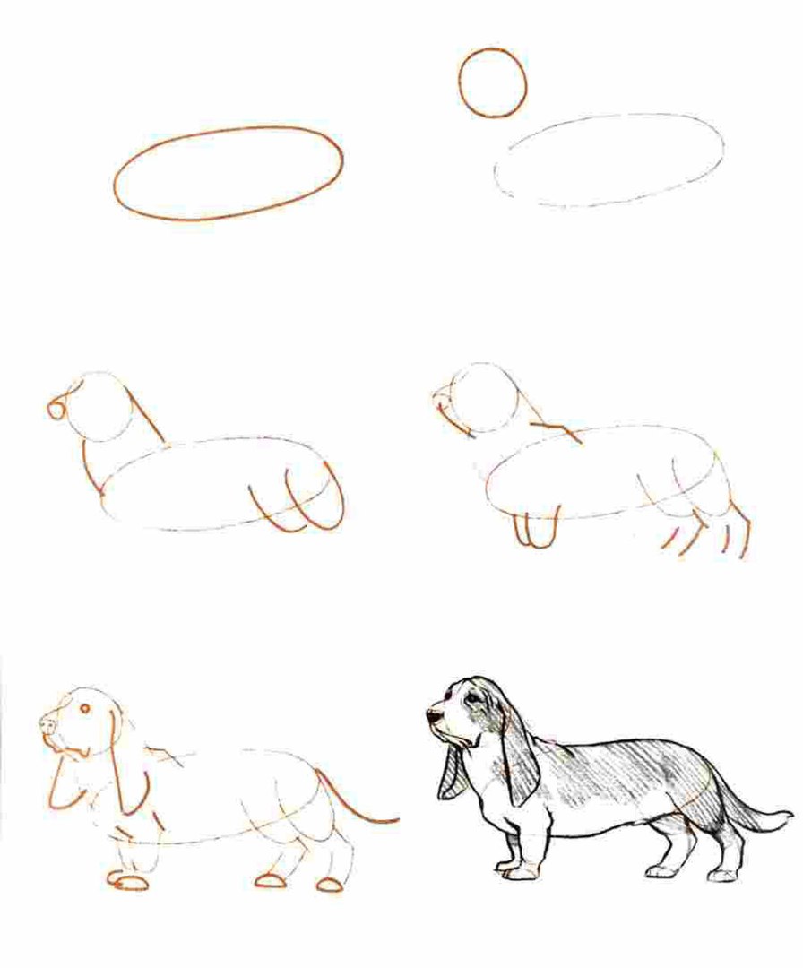 Нарисовать собаку карандашом легко и красиво. Собака рисунок карандашом. Пошаговое рисование собаки. Рисунок собаки карандашом для срисовки. Рисунок собаки для срисовки.