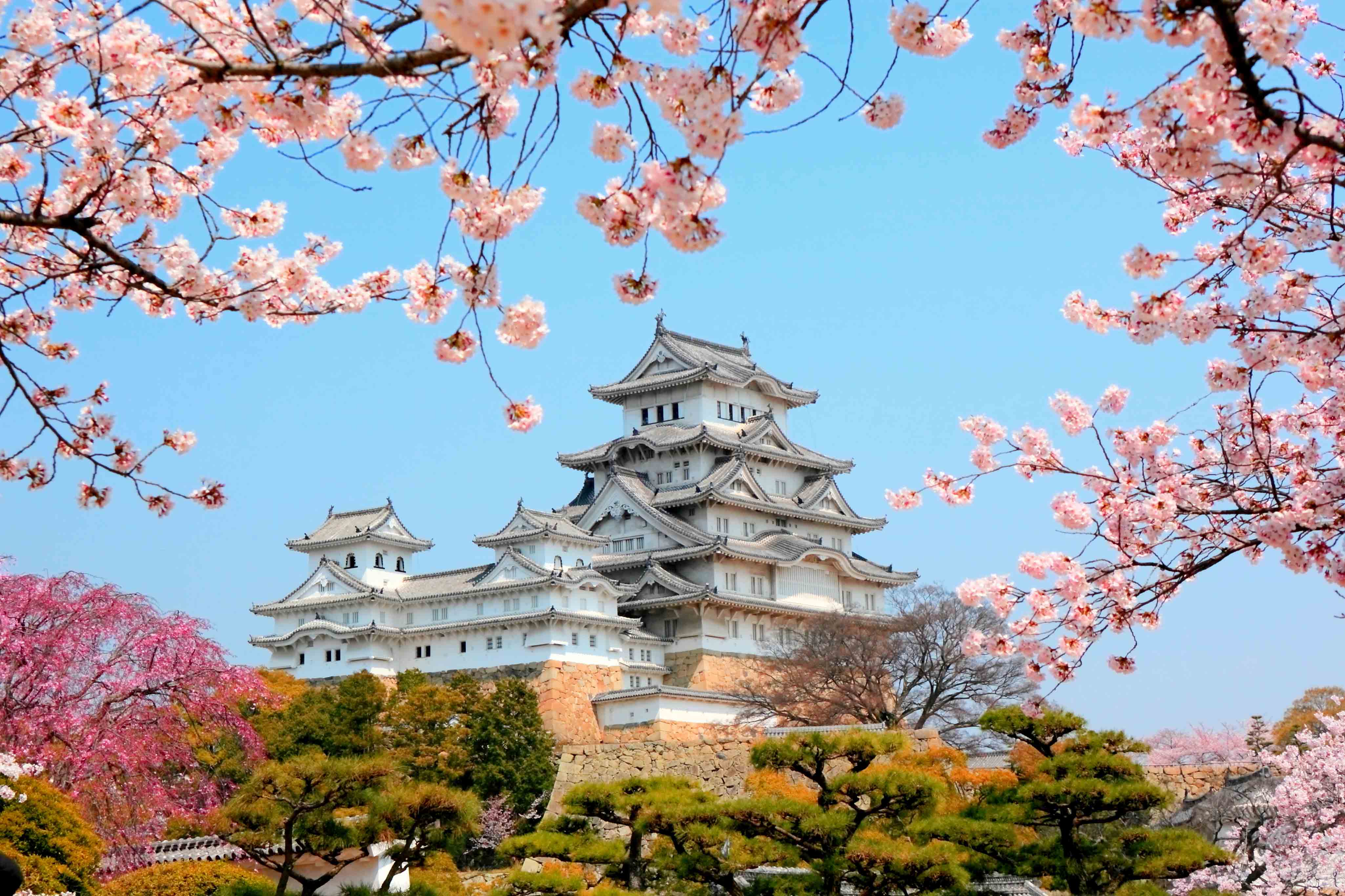 Japan. Замок Химэдзи ЮНЕСКО. Замок Химэдзи сад. Замок белой Цапли в Осаке. Химедзи (остров Хонсю).