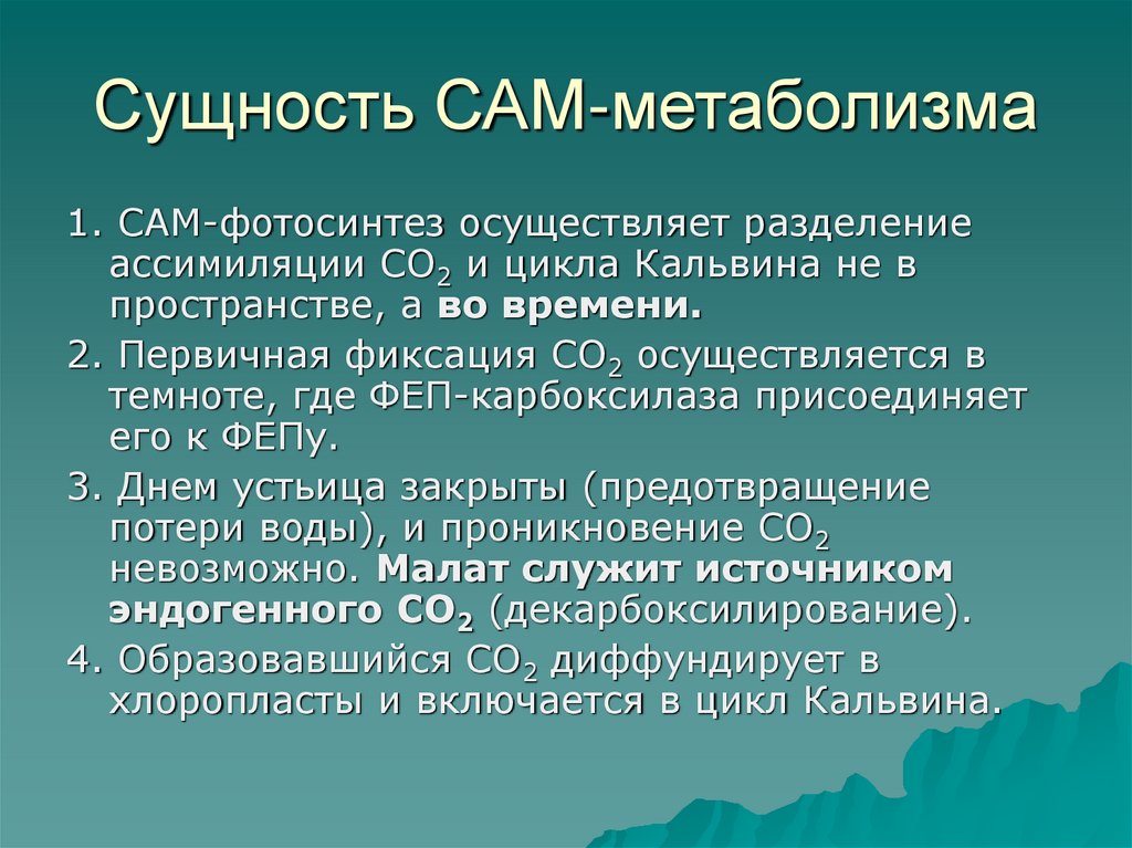 Осуществляемые условия. Фотосинтез по типу толстянковых сам-метаболизм. Сам метаболизм. Сам метаболизм у растений. Метод одноосного сжатия.