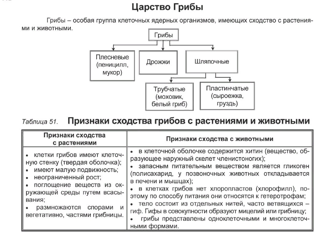 Царство грибы 7 класс биология таблица. Таблица царство грибы 7 класс. Таблица грибы 5 класс биология.