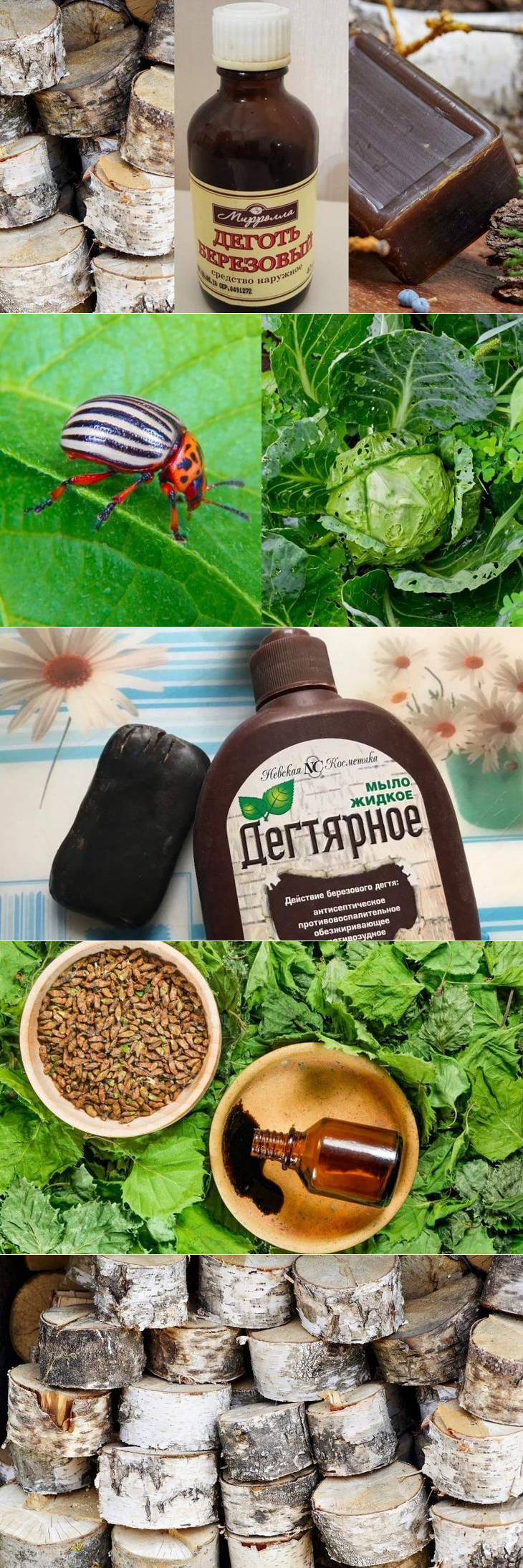 Дёготь берёзовый для чего применяется в огороде