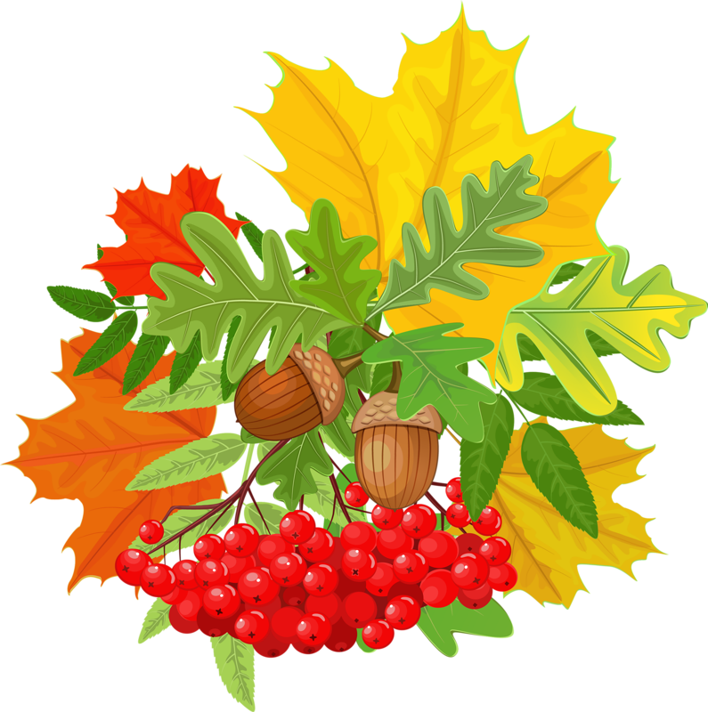 September fall clipart ✔ Clear and other clipart images on C