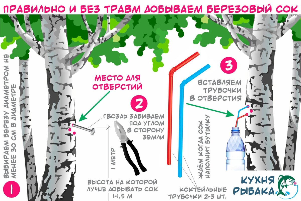 Мешки Для Сбора Березового Сока Купить