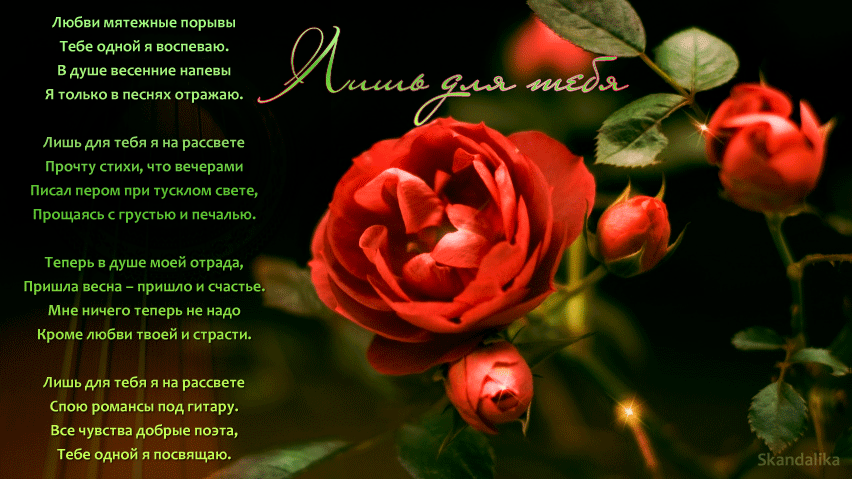 Лишь для вас душою песни. Цветы для любимой женщины стихи. Прекрасное розы и стихи. Цветы любимой со стихами. Цветы любви стихи.
