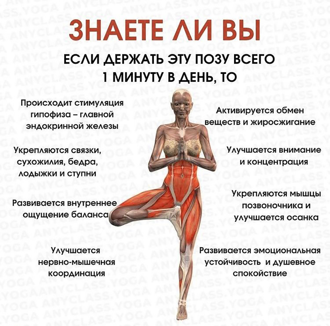 Поза йоги | МЕТОДЫ ЛЕЧЕНИЯ: ЙОГА | Постила