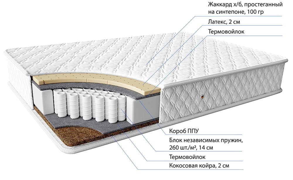 Матрас двусторонней жесткости: мягкий/жесткий Ant – высота 19 см купить ...