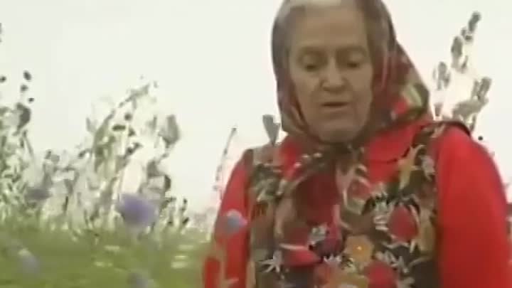 Е Ф Зайцева Книги Купить