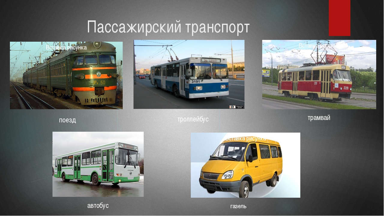 Маршрутного такси троллейбусов и автобусов