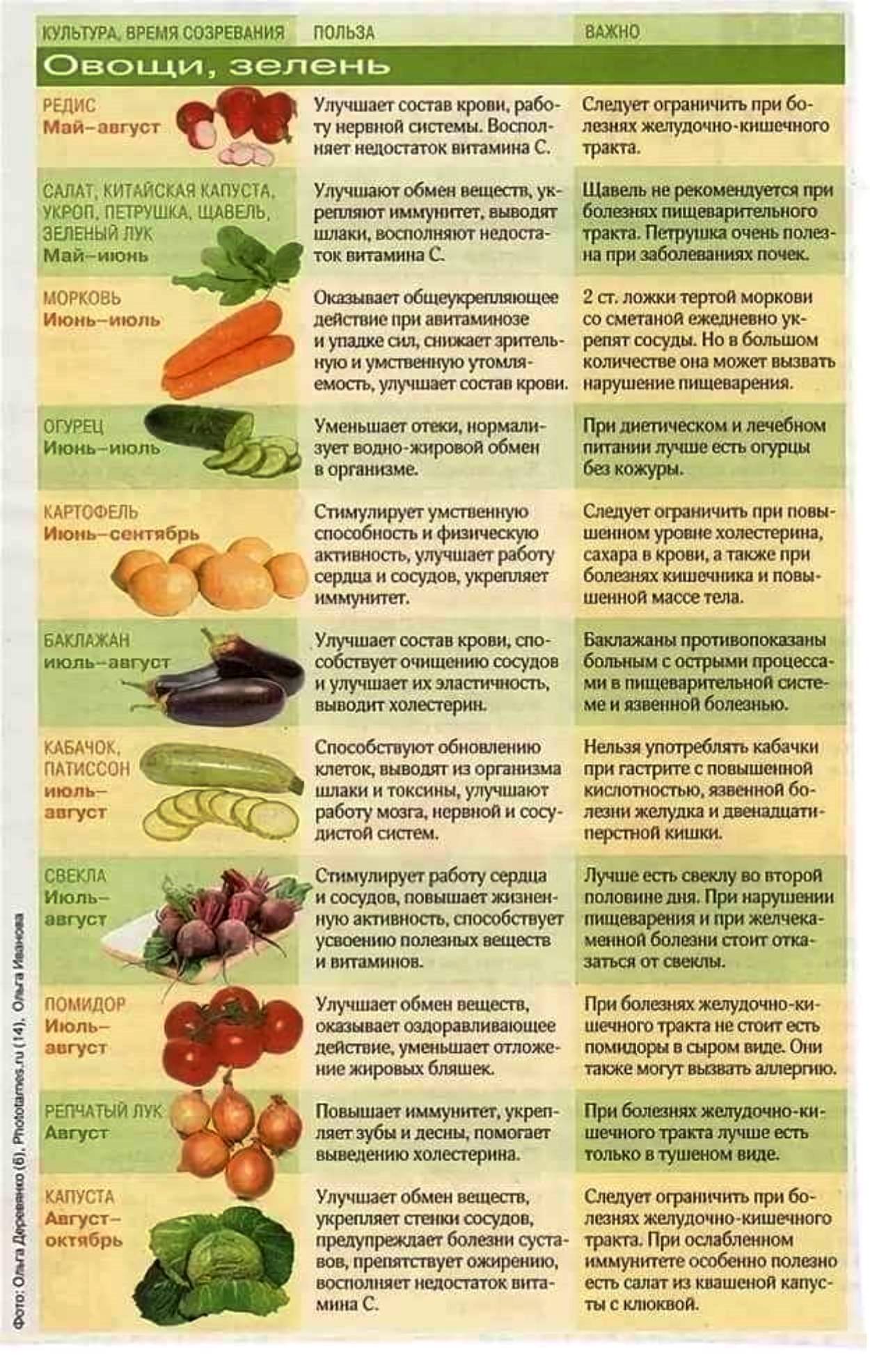 Какие фрукты можно есть кормящим. Полезные сырые овощи. Польза овощей для организма. Таблица полезных овощей и фруктов. Овощи в прикорм до года.