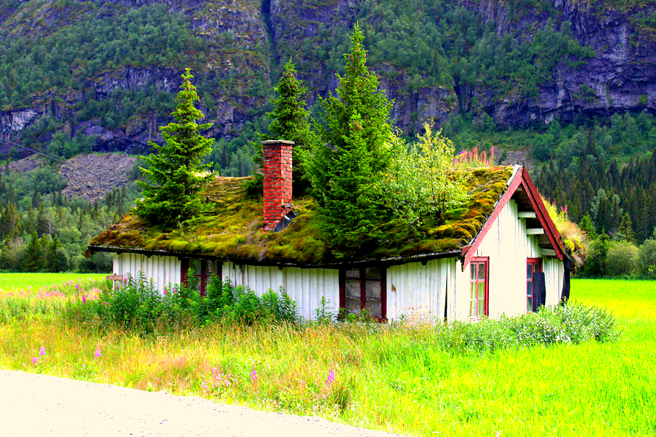 Дом в норвегии