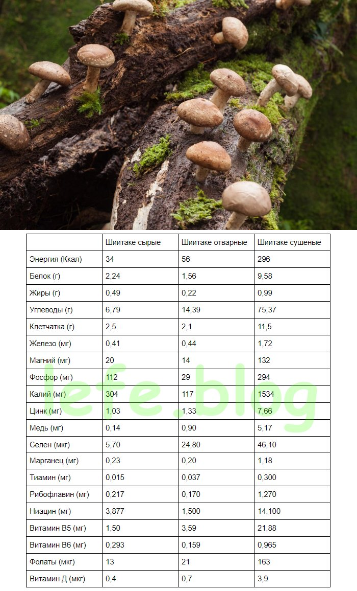 Сколько белков в белом грибе. Калорийность грибов шиитаке. Грибы шиитаке калорийность. Пищевая ценность грибы шиитаке. Калорийность грибов таблица.