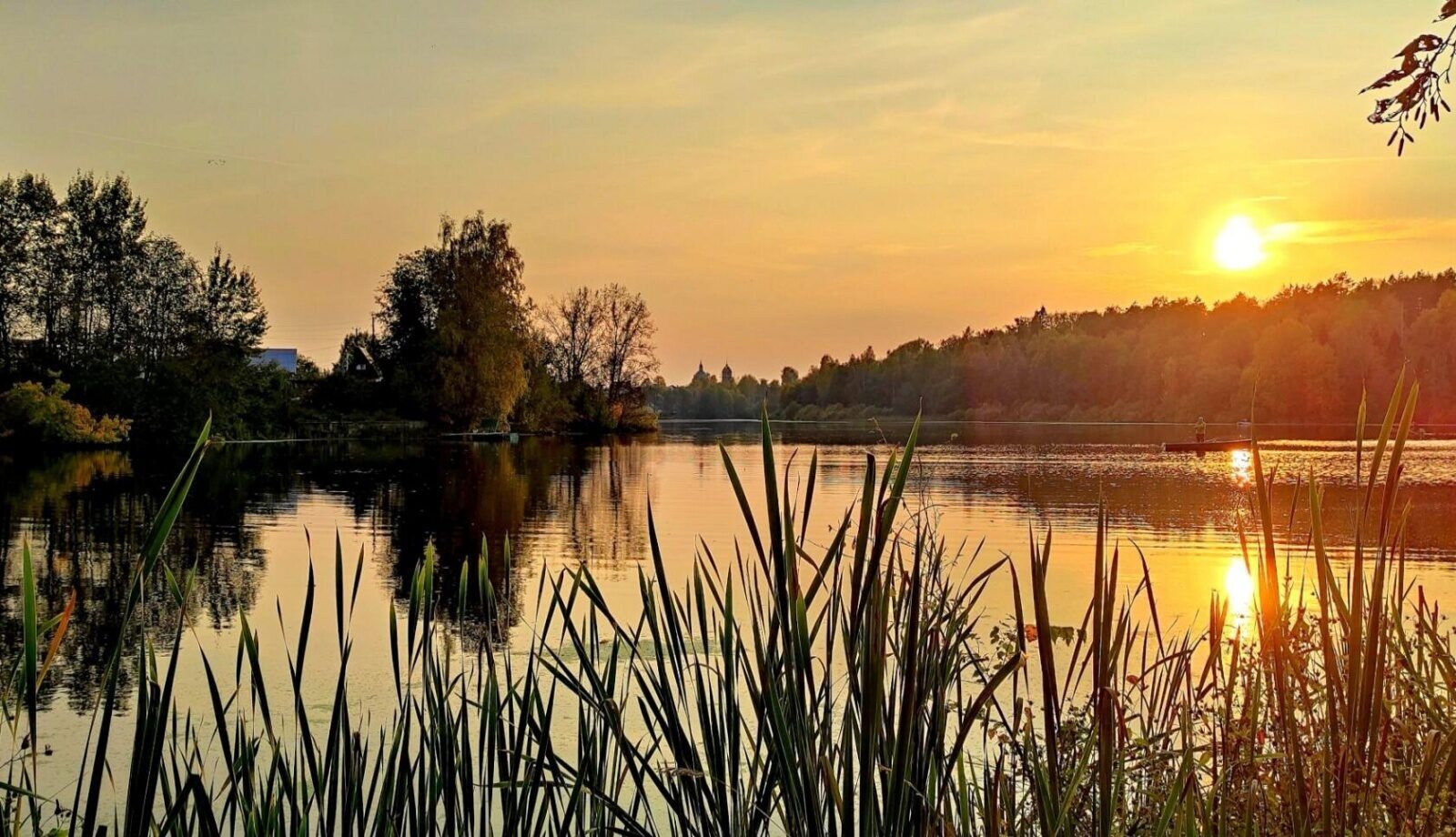 Камыши фон. Верхнеяузские болота рыбалка. Густой камыш окружает голубое 3 озеро 4. Болото с камышами. Карась в камыше.